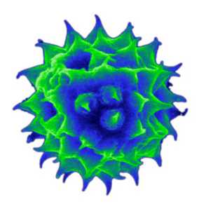 Enlarged view: Nanotechnology Group Logo